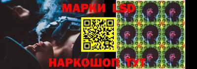 крисы Кулебаки