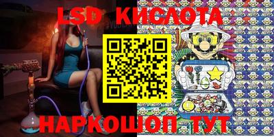 крисы Кулебаки