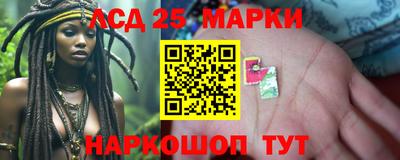 spice Кунгур