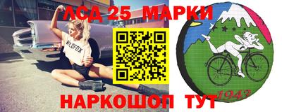 крисы Кулебаки
