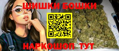 крисы Кулебаки