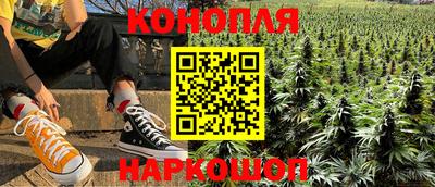 крисы Кулебаки