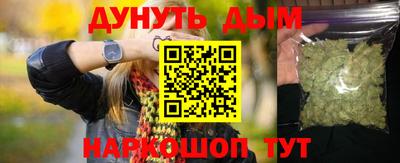 крисы Кулебаки