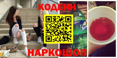крисы Кулебаки