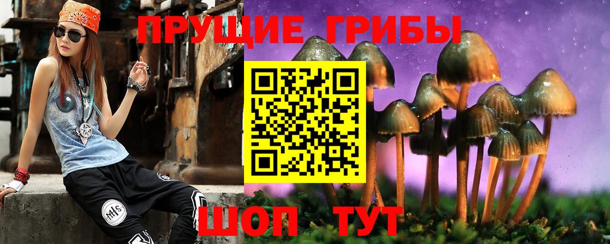 Галлюциногенные грибы Psilocybe Киселёвск