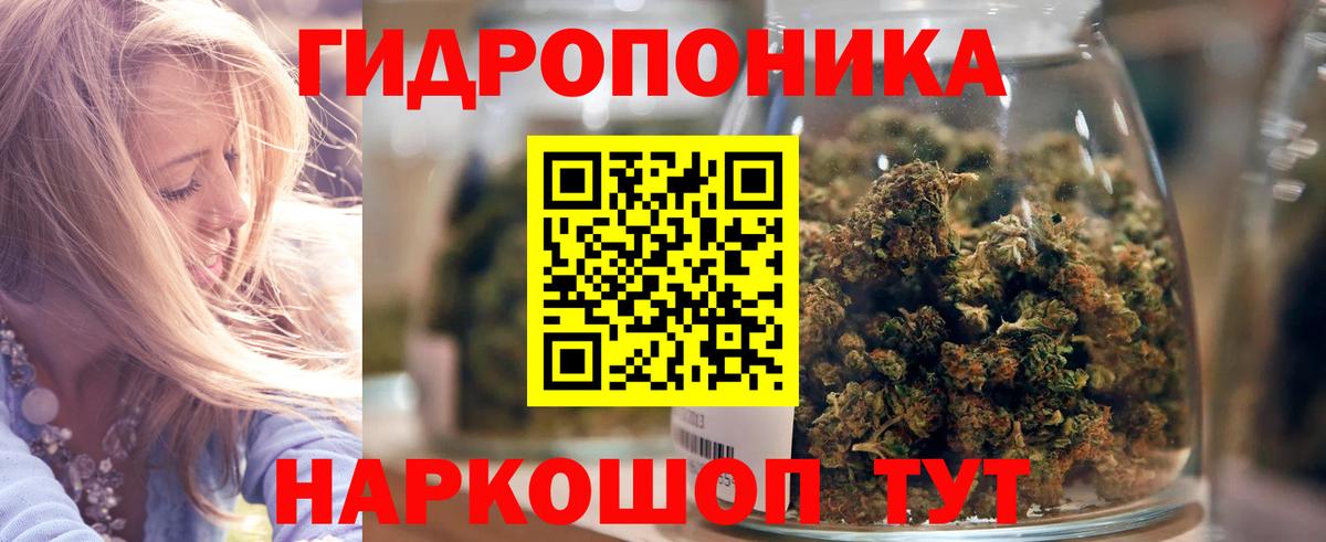 Шишки марихуана планчик Киселёвск